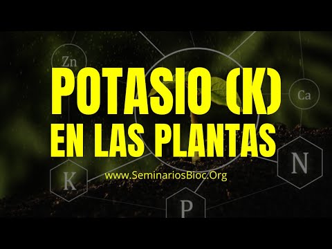 Video: ¿Qué plantas se benefician de la potasa?