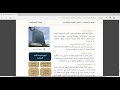 هيئة الامم المتحدة 