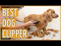 Best Dog Clippers ⭐️ (TOP 7) Dog Grooming Clipper Reviews in 2020 ⭐️