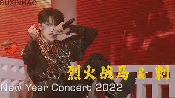 TF Family SuXinhao 苏新皓 | "烈火战马 & 刺" | New Year Concert 2022 新年音乐会