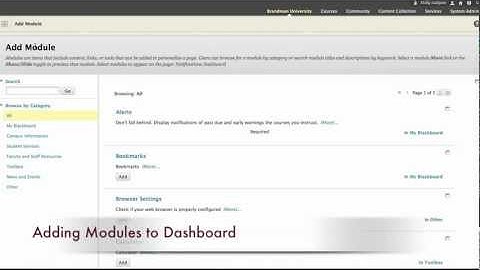 Notifications Dashboard Blackboard 9.1 Training