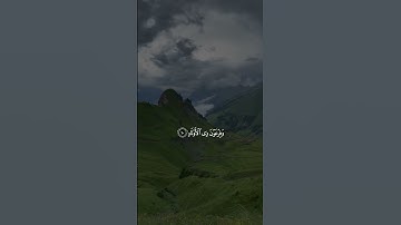 القران الكريم راحة نفسية#قرآن #راحة_نفسية