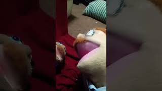 does bad things guy song
