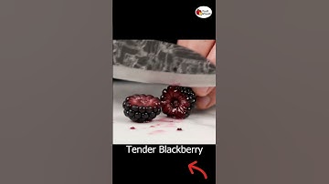 Perfect Knife Slice Through Blackberry | Cinematic SlowMo #Shorts #asmr #fruitvisuals #shortvideo
