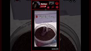 #لايك #اكسبلور #ترند #إشتراك #beats #beats #typebeat #reggae #typebe #typebe #dancehall