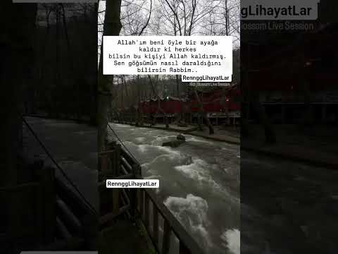 AMİN Song Trending Reels Shortvideo Youtubeshorts Shorts Short Love Ytshorts Trend 