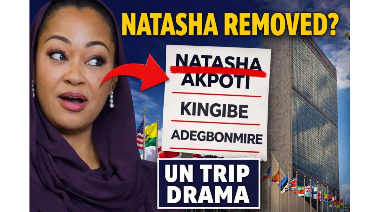 Natasha Name Disappear From UN Trip List? Senate Drama As Kingibe Raise Serious Question