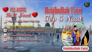 Habibullah Faizi | Top 5 Non Stop World Famous Naat Sharif #habibullhafaizi #naatshareef #famousnaat