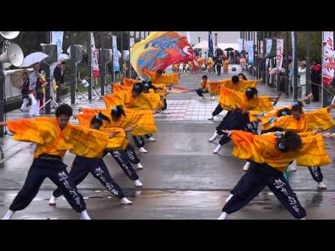大阪守口熱渡宝夢（ゑぇじゃないか祭り2012）