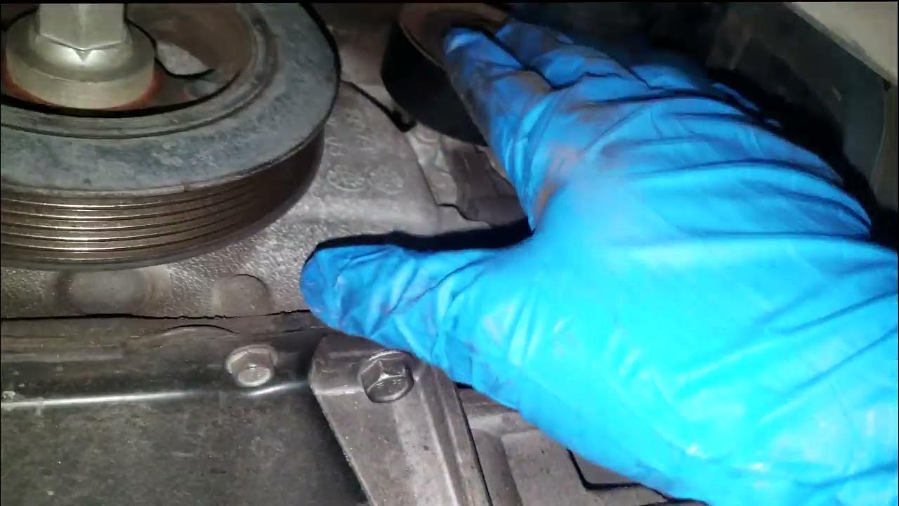 If you hear this sound in your car Its not your motor. Alternator on a