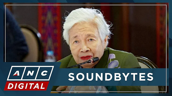 Ex-DepEd Sec. Briones defends asking PS-DBM to procure laptops on behalf of agency | ANC