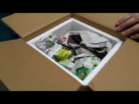 pied piper 読み方 Unboxing 0.1 Pied Ball Python