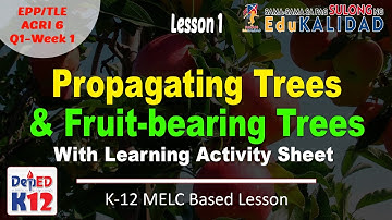 PROPAGATING TREES AND FRUIT-BEARING TREES | LEARNING ACTIVITY SHEET DOWNLOAD
