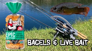 Catching South Florida Exotics with Bagels & Live Bait