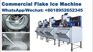 Focusun Commercial Flake Ice Machine with ice storage room