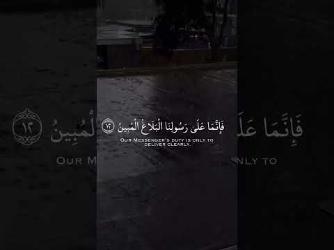 وأطيعوا الله وأطيعوا الرسول فإن توليتم فإنما على رسولنا البلاغ المبين القارئ رعد الكردي