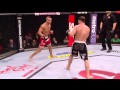 Top 5 KOs de Vitor Belfort