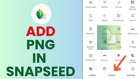 How to Add Png in Snapseed 2024?