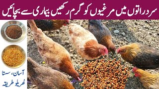 How to Keep Chickens Warm in Winter Nights | Chicken Winter Medications | Winter Chicken Care