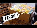 We Put $1800 of Gift Cards In These Eggs