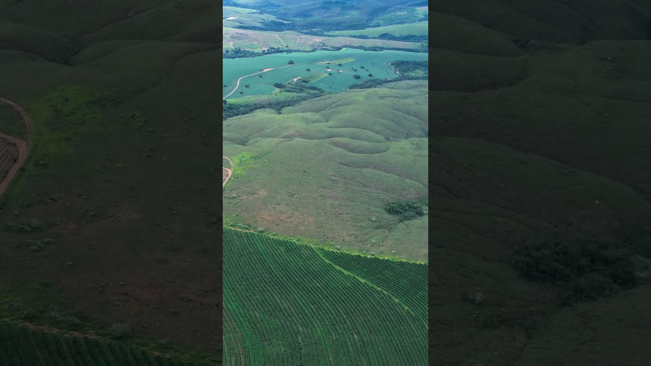 COFFEE FARM DRONE VIDEO
