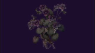 Phneeb light (filler,,,
Flowers in rhe thumbnail aren’t mine ,🔊🔊🔊🔊🔊🔊🔊🔊🔊🔊 Phneeb light (filler,,,