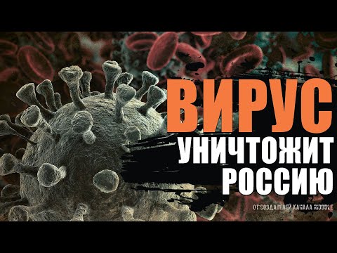 ВИРУС ЭБОЛА. Как ВИРУС уничтожит Россию, а потом планету. Страшные истории