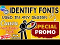 How to IDENTIFY FONTS Used in ANY Design | Canva Font Finder Trick 2025