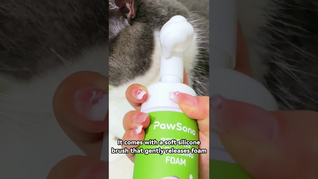 Cleaning 100 Different pets | No rinse, no mess, no stress! clean cat paw