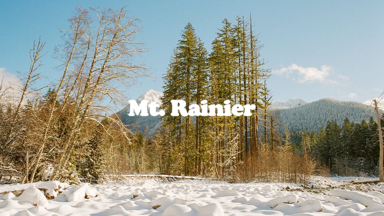 Paradise Days | Film Photography at Mt. Rainier