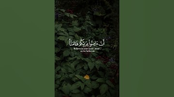 { ربنا فاغفر لنا ذنوبنا وكفّر عنا سيئاتنا وتوفنا مع الأبرار } محمد صديق المنشاوي سورة آل عمران
