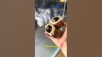 Khám Phá Cùm Khoá Giàn Giáo Đầy Ngạc Nhiên Tại Cốp Pha Việt