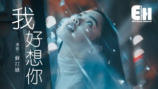 Video thumbnail of "蘇打綠 - 我好想你『我好想你 好想你，卻欺騙自己。』【動態歌詞Lyrics】"