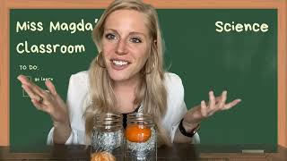 Sink or Float Experiment for Kids | Easy Science Activity on Density and Buoyancy