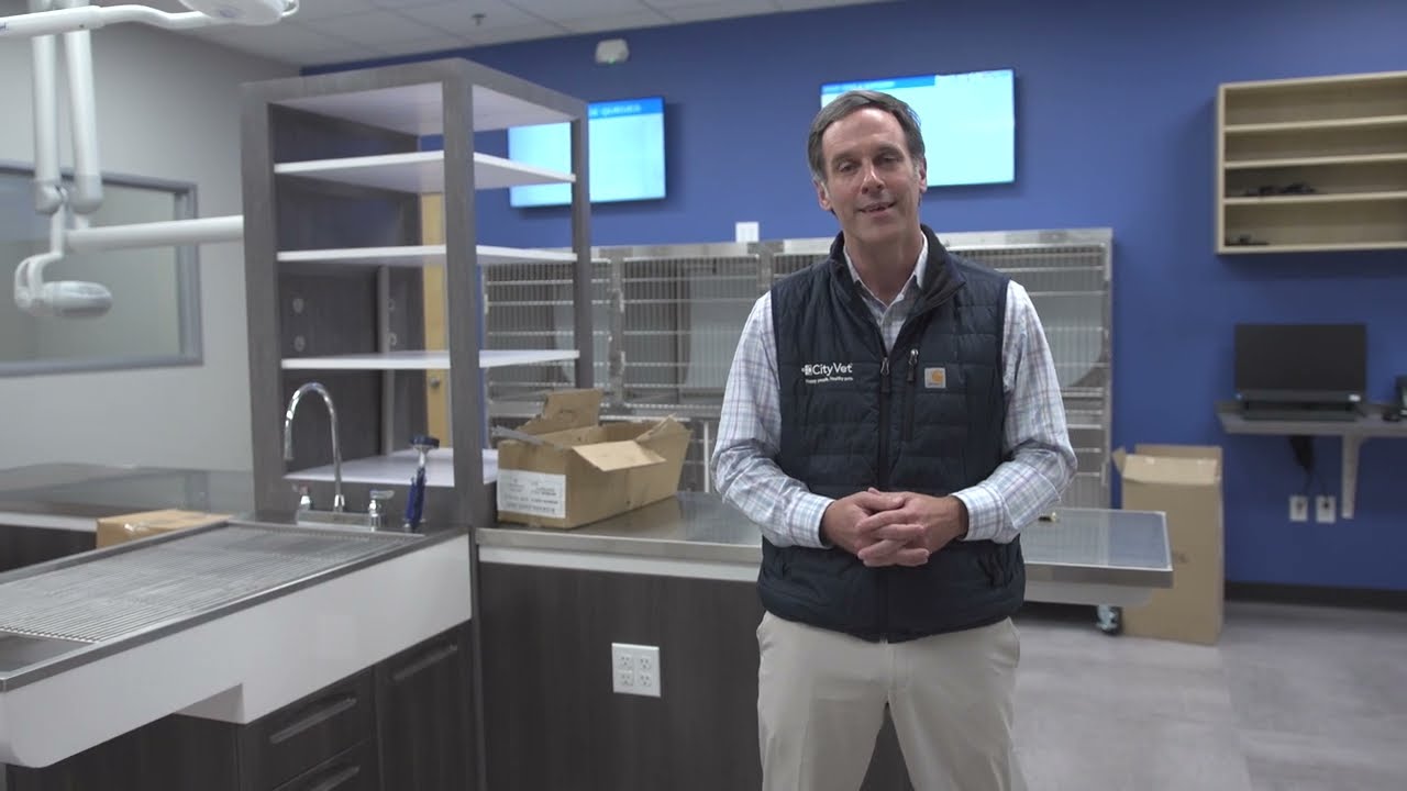 A Tour Of Dr. K's CityVet Location