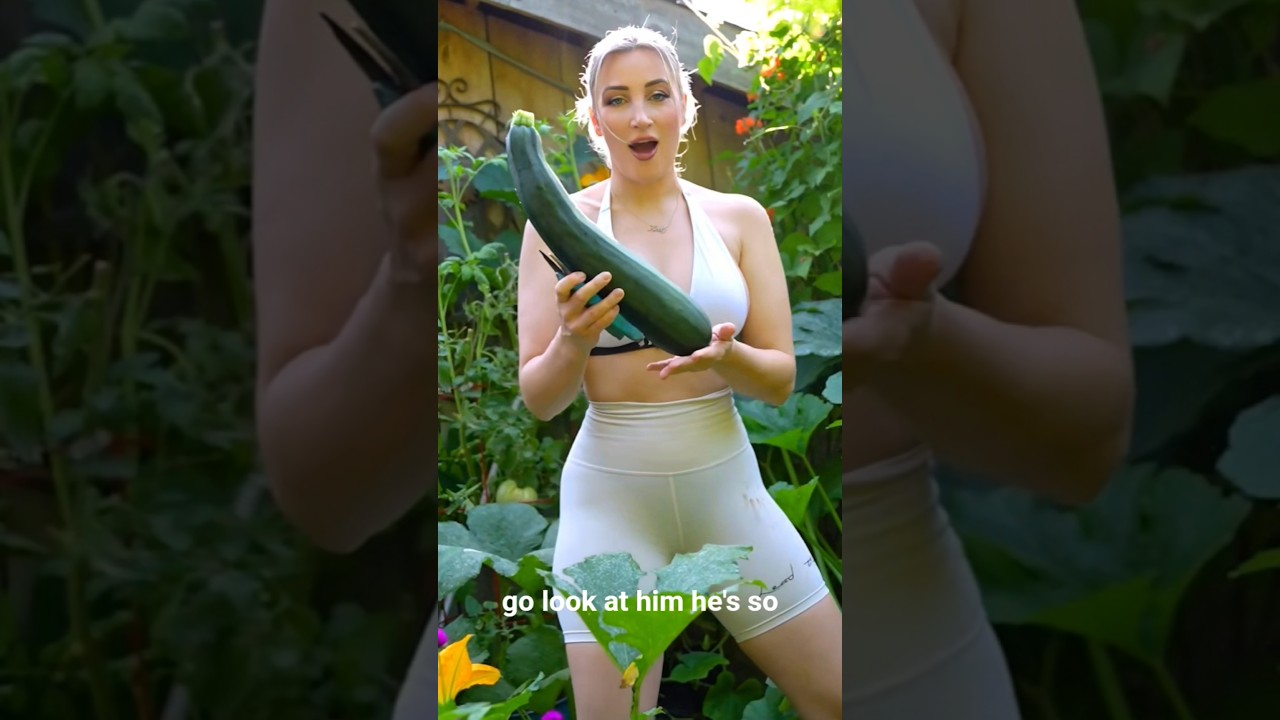 Have you ever seen a Zucchini THIS BIG 🤪✨️🥒 