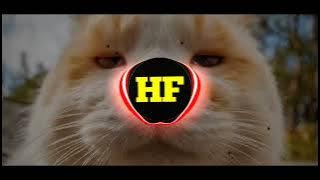 Download lagu DJ MASHUP WANNA WANNA PLAY FOR ME STYLE THAILAND !!!