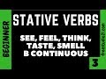 Stative Verbs - глаголы SEE, FEEL, THINK, SMELL, TASTE  в Continuous
