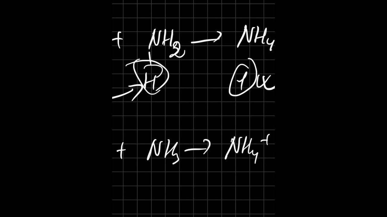 Test 448 (Хуучин ном Test 309) YouTube