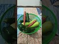 DIET###RAKHO##SAAADI##ZINDAGI##BEHTAR#JIYO