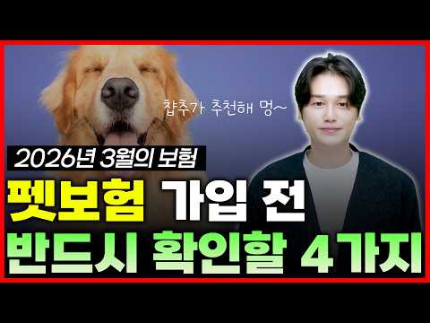 펫보험 그냥 가입하면 손해볼까요? 가입 전 4가지 모르면 후회 할 수도...?