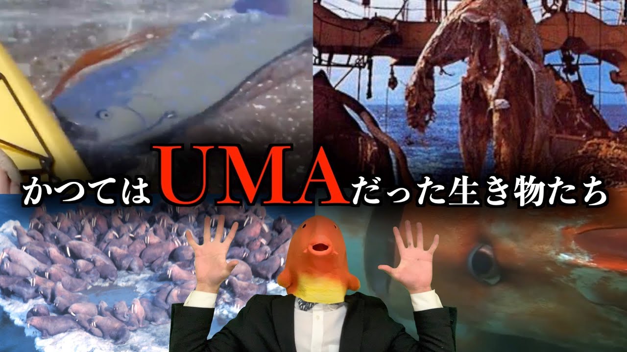 【実在したUMA】かつては伝説の生き物だと思われていた海の生き物たち