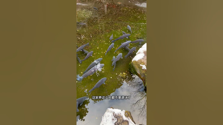 日本人为什么不吃鲤鱼