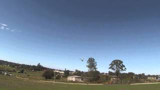 avitron bionic flying bird 3