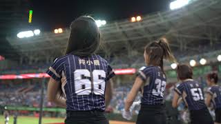 羚小鹿 Rakuten Girls 應援曲《 三振槍 》Rakuten Monkeys【新光動紫趴】20200802【4K】