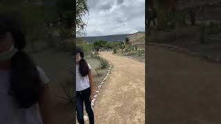 Archeological ruins of Mitla. Zona arqueológica de Mitla. #oaxaca #travel #mexico