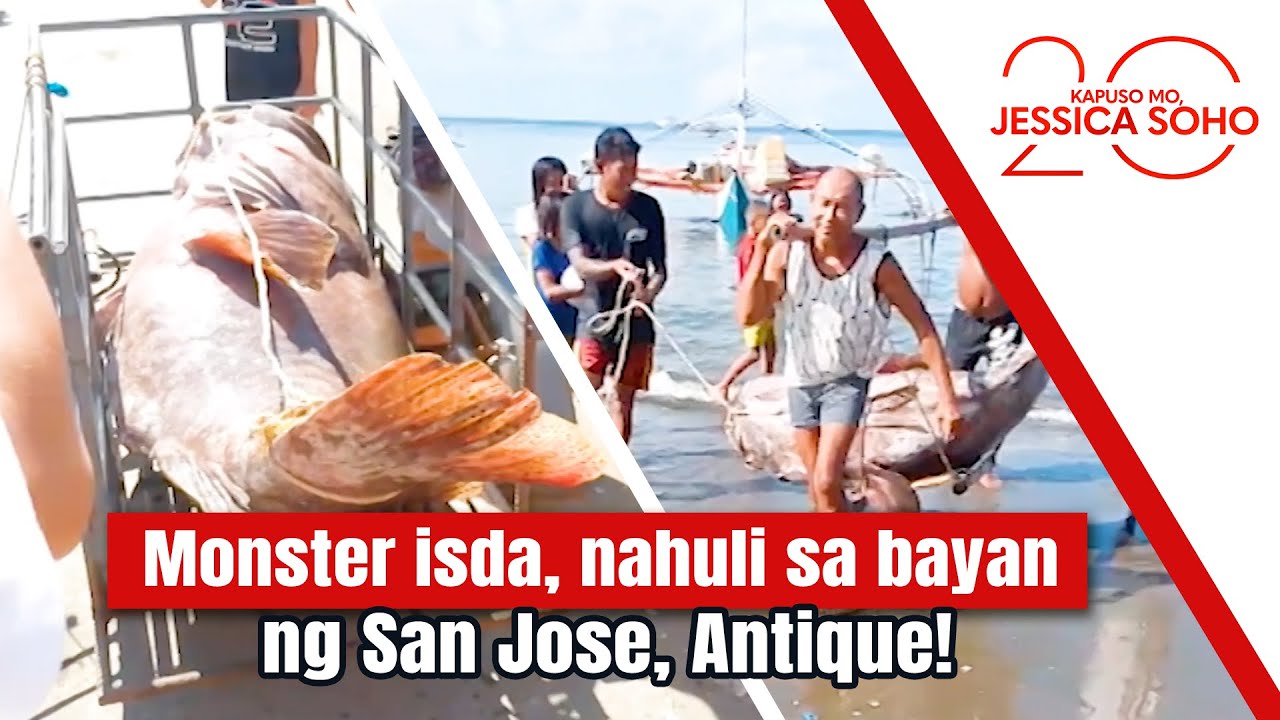 Monster isda, nahuli sa bayan ng San Jose, Antique! | Kapuso Mo, Jessica Soho