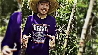 mrbeast meme song   Phonk slowed   TikTok meme