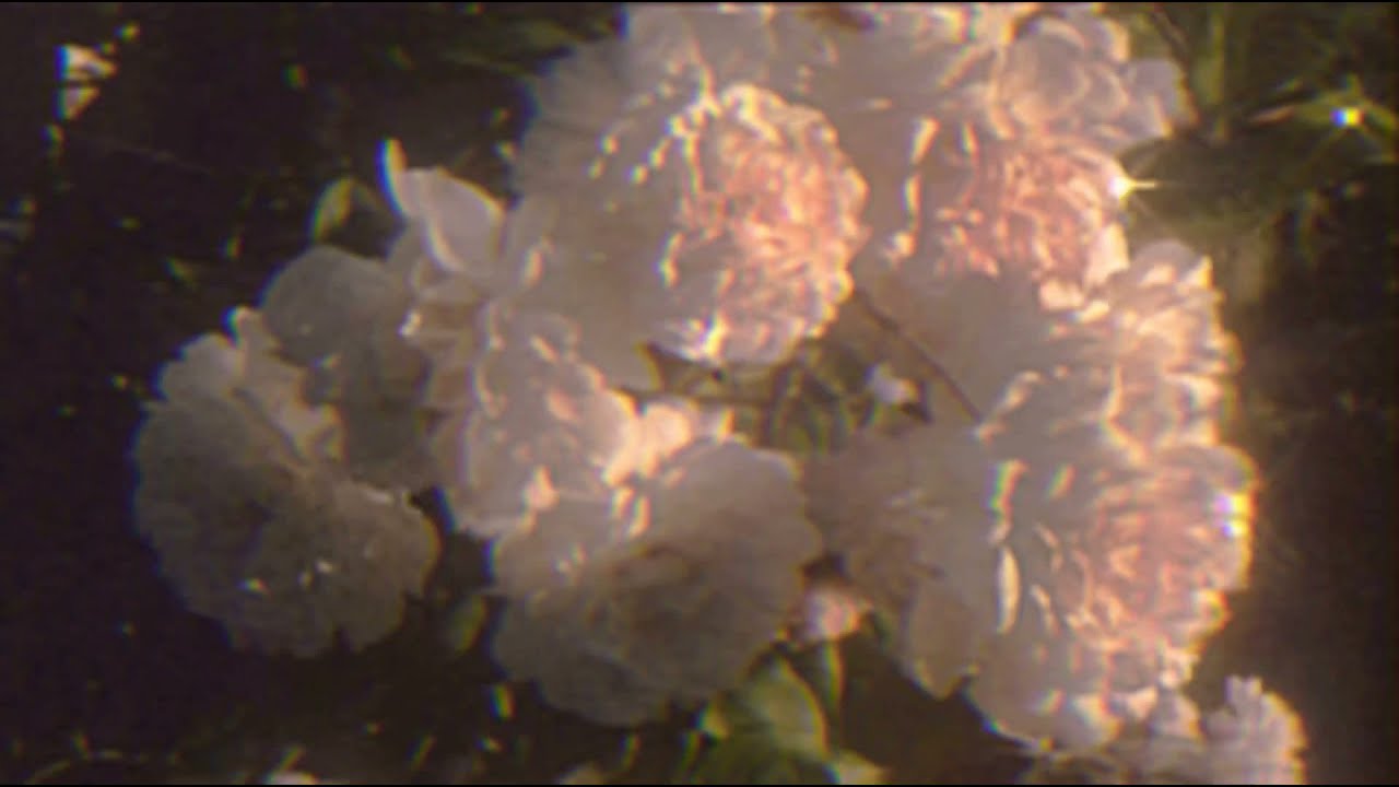 Ø𝔣𝔡𝔯𝔢𝔞𝔪 - 𝔱𝔥𝔢𝔩𝔪𝔞 ( 𝔰𝔩𝔬𝔴𝔢𝔡 )