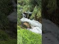 beautiful river in the mountain #river #riverside #landscape #relaxation #travel #waterfall